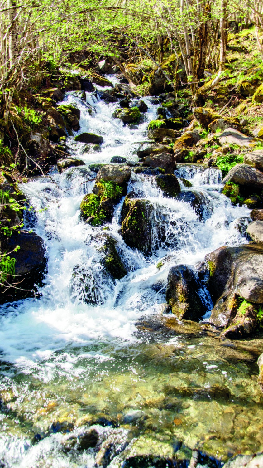 Des Pyrénées à l’estuaire, la Garonne comme trait d’union