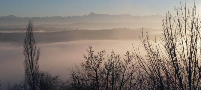 Les Pyrénées en fond de décor