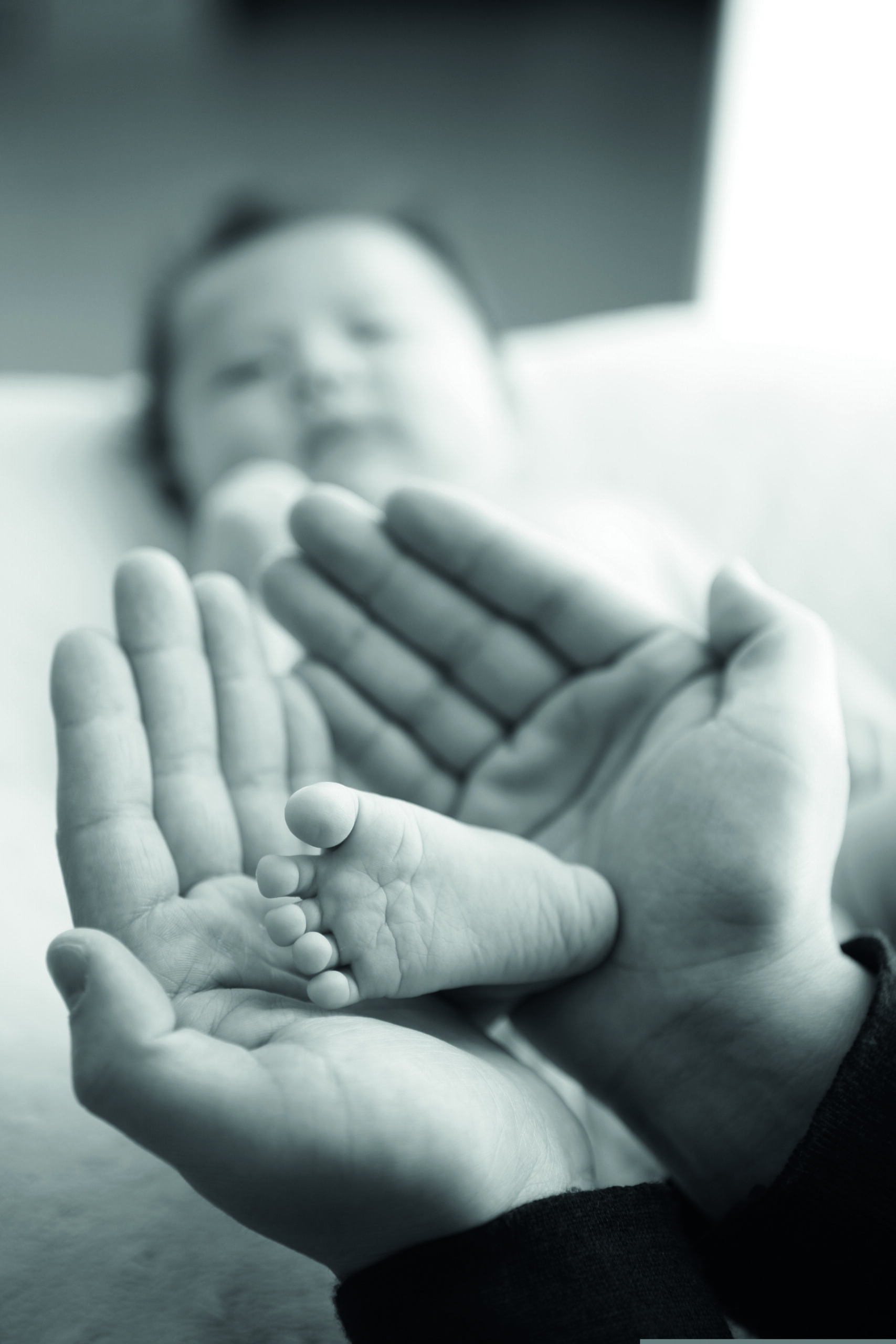 Des effets du baby-boom à la baisse de la fécondité : les grandes dynamiques démographiques des 50 dernières années… et du quart de siècle à venir !