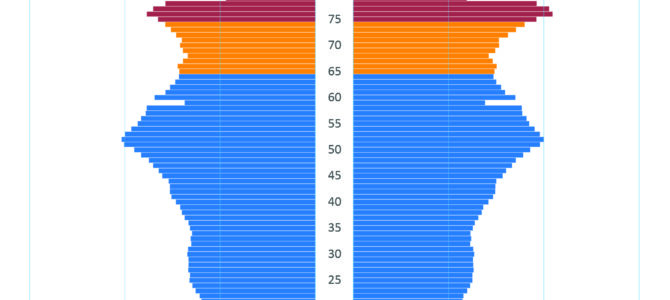 Quelles leçons tirer du déclin démographique japonais et de ses effets territoriaux ?