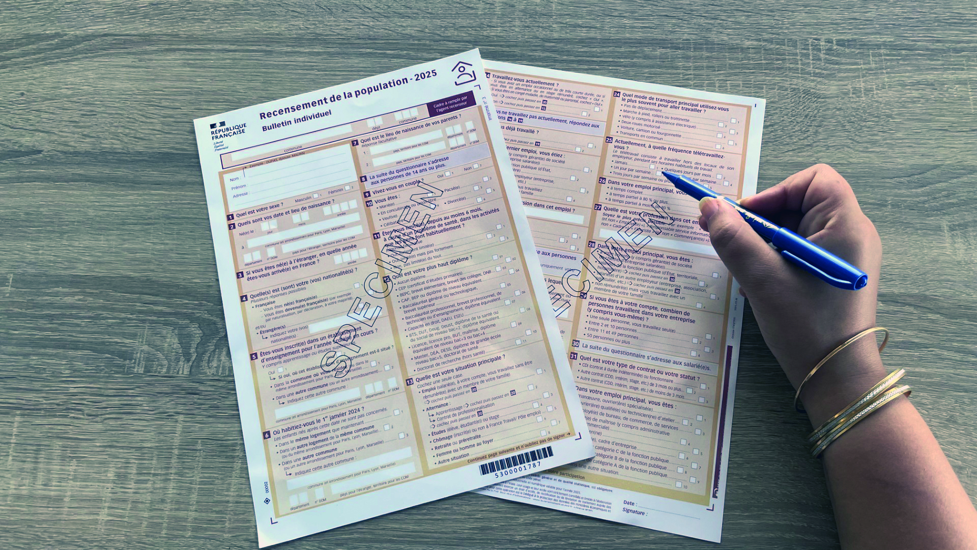 Ce que les recensements nous disent (ou non) de la mobilité des populations sur le territoire